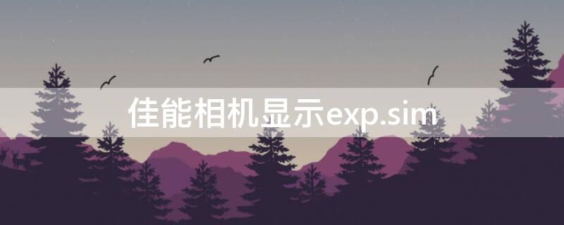 佳能相机显示exp.sim