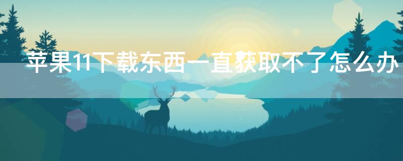 iPhone11下载东西一直获取不了怎么办