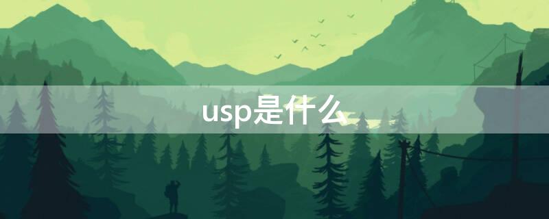 usp是什么 usp是什么电源