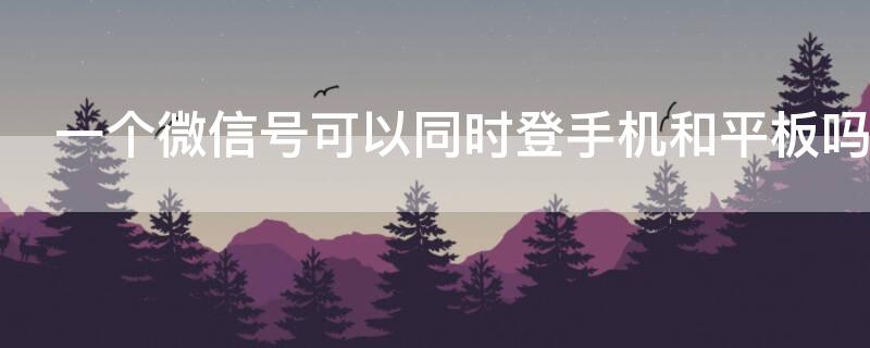 一个微信号可以同时登手机和平板吗（一个微信号能同时登陆手机和平板吗）