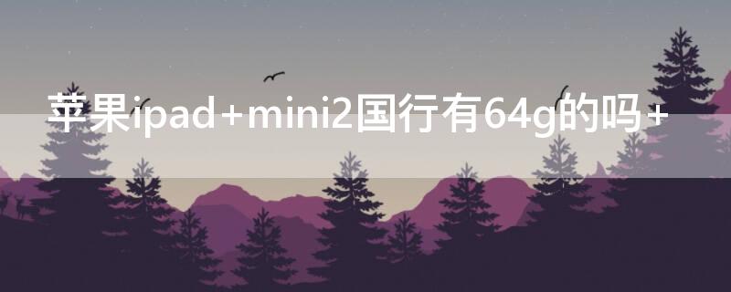 iPhoneipad mini2国行有64g的吗