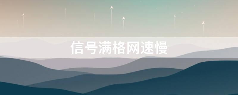 信号满格网速慢（信号满格网速慢是什么原因）