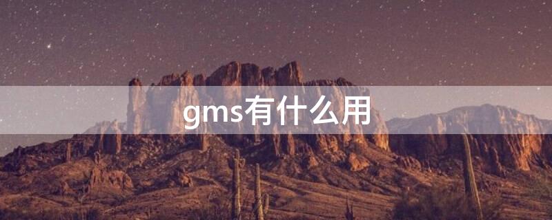 gms有什么用