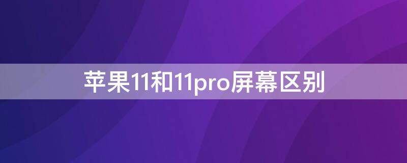 iPhone11和11pro屏幕区别 iphone12和iphone11pro屏幕区别