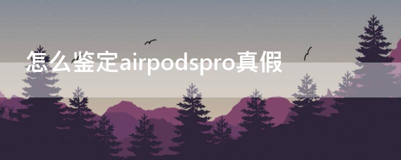 怎么鉴定airpodspro真假（如何识别airpodspro真假）