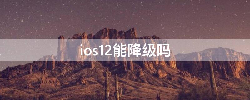 ios12能降级吗 ios12.5可以降级吗