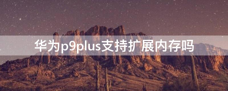 华为p9plus支持扩展内存吗（华为p10plus支持内存扩展吗）