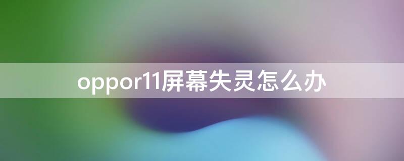 oppor11屏幕失灵怎么办（oppor11屏幕失灵怎么办点不动怎么关机）