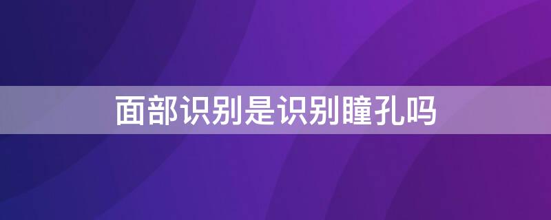 面部识别是识别瞳孔吗（面容识别是识别瞳孔吗）