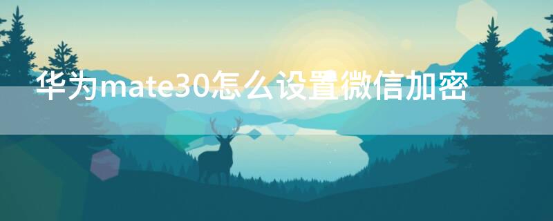 华为mate30怎么设置微信加密（华为mate30怎么设置微信加密指纹）