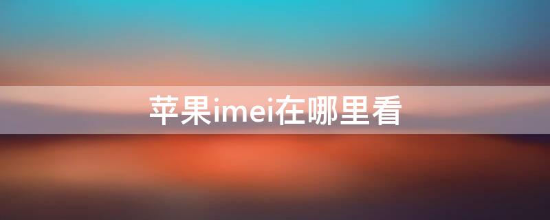 iPhoneimei在哪里看 苹果6imei在哪里看