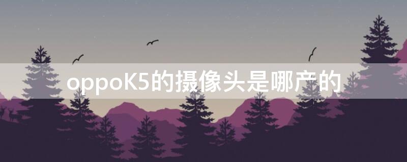 oppoK5的摄像头是哪产的 oppok5的摄像头是索尼的吗