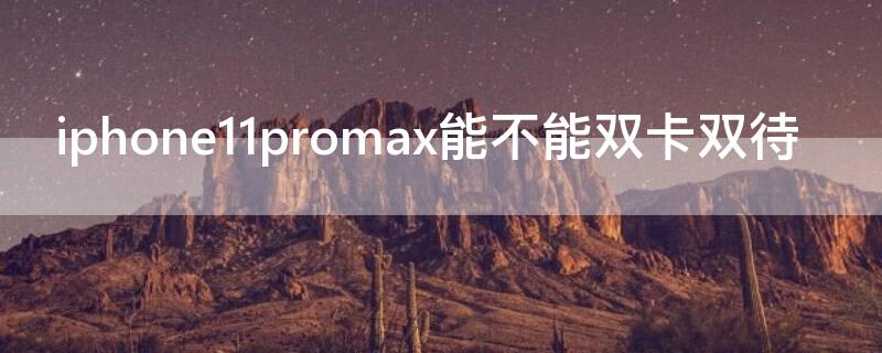 iPhone11promax能不能双卡双待（iphone12promax可以双卡双待吗）