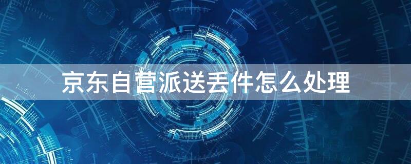 京东自营派送丢件怎么处理 京东自营 丢件