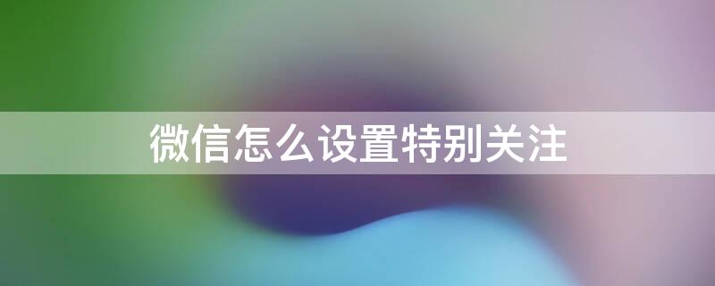 微信怎么设置特别关注 微信怎么设置特别关注某人信息