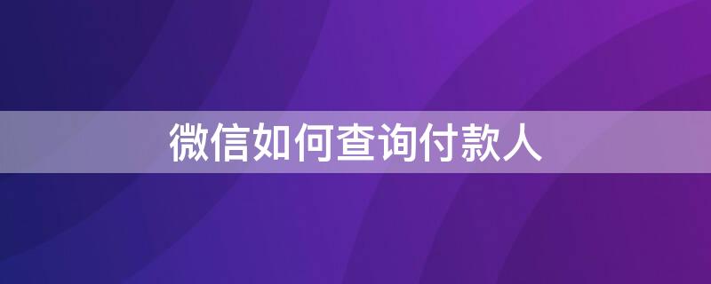 微信如何查询付款人（微信如何查询付款人联系方式）