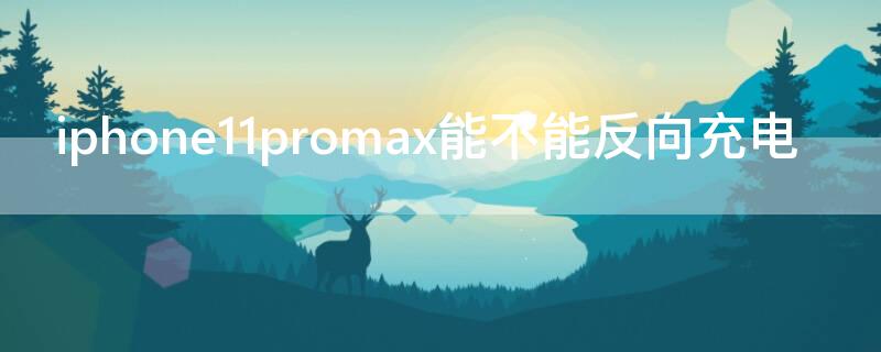 iPhone11promax能不能反向充电 iphone11promax有反向充电功能吗