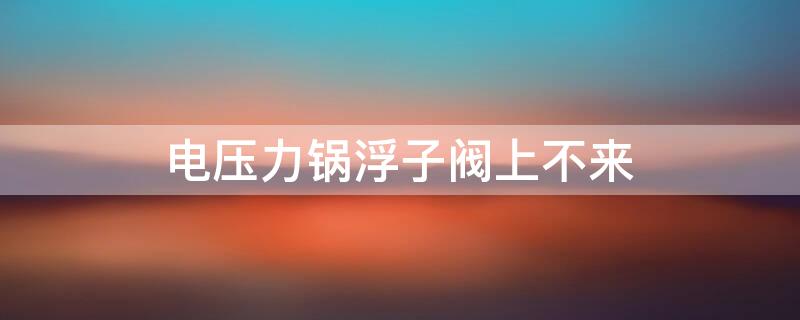 电压力锅浮子阀上不来（电压力锅浮子阀上不来什么原因）