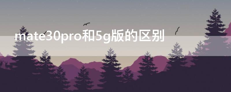 mate30pro和5g版的区别（mate30 5g和mate30 pro 5g的区别）
