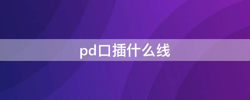 pd口插什么线（pd线和usb线）