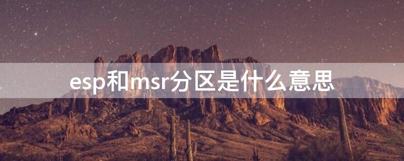 esp和msr分区是什么意思（分区里面的esp和msr是什么）