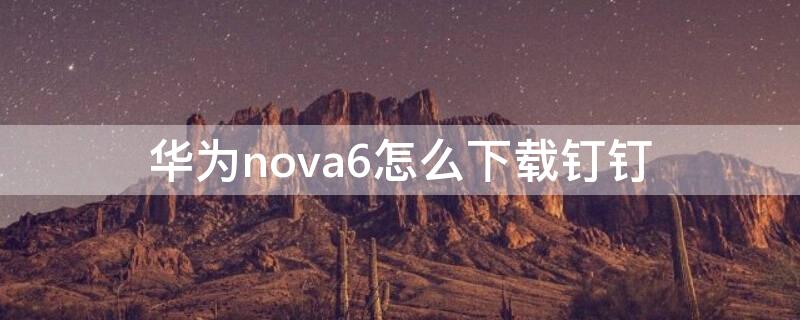 华为nova6怎么下载钉钉（华为nova6手机助手）