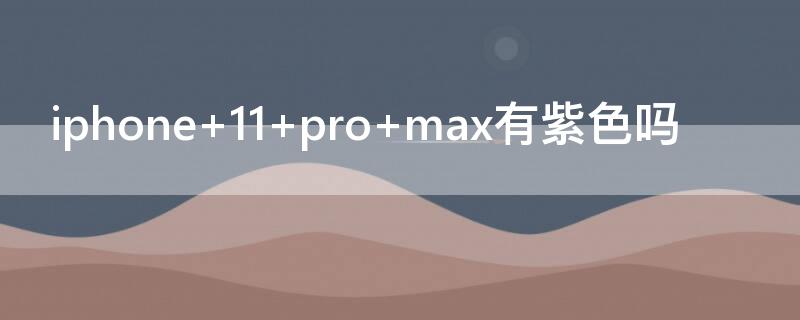 iPhone 11 pro max有紫色吗