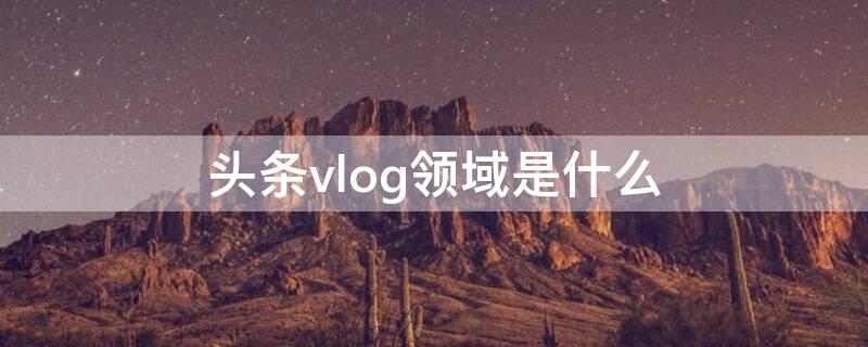 头条vlog领域是什么（头条vlog领域是什么意思）