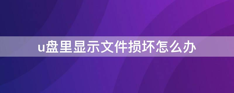 u盘里显示文件损坏怎么办（u盘里的文件显示损坏怎么办）