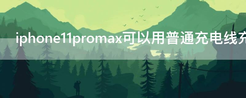 iPhone11promax可以用普通充电线充电吗 iphone11promax充电线能通用吗