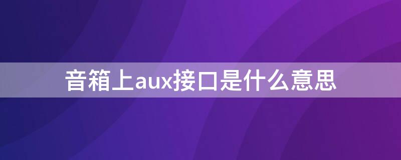 音箱上aux接口是什么意思（音响上面的aux接口是什么口）