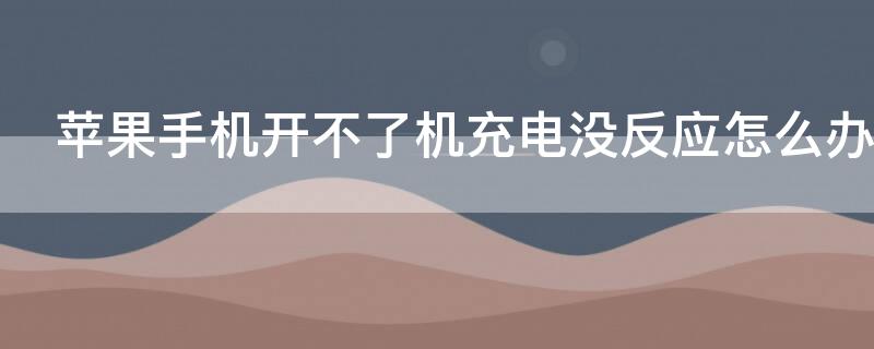 iPhone手机开不了机充电没反应怎么办 苹果手机开不了机,充电也没反应怎么回事