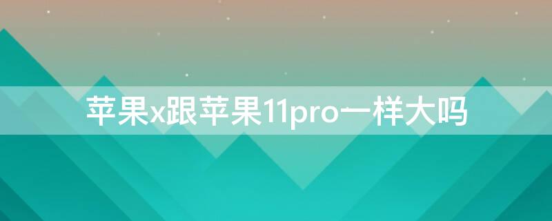 iPhonex跟iPhone11pro一样大吗（iphone11pro和x一样大吗）