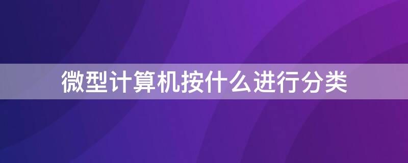 微型计算机按什么进行分类（微型计算机分为哪两类）