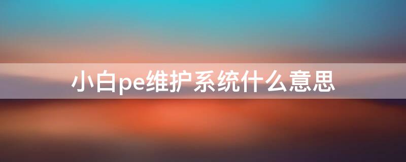 小白pe维护系统什么意思（小白pe系统什么意思）