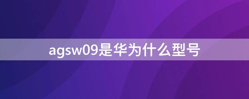 agsw09是华为什么型号 ags2w09是华为什么型号