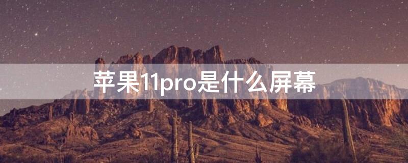 iPhone11pro是什么屏幕（iPhone 11 Pro是什么屏幕）