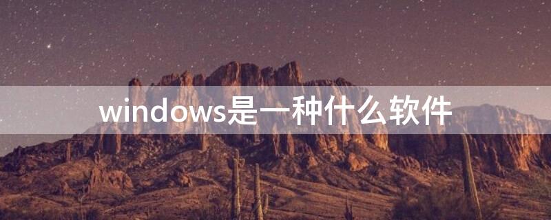 windows是一种什么软件（windows是一种常用的应用软件）