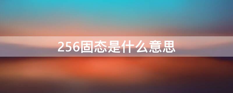 256固态是什么意思（256gb固态是什么意思）