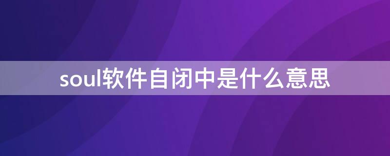 soul软件自闭中是什么意思（soul软件今日自闭是什么意思）