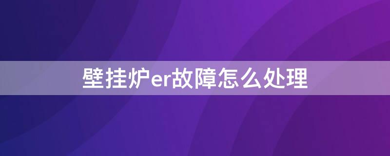 壁挂炉er故障怎么处理（壁挂炉er故障什么意思）