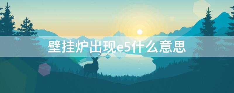 壁挂炉出现e5什么意思（壁挂炉上出现e5是什么意思）