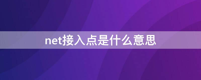 net接入点是什么意思（接入点设置为net方式）