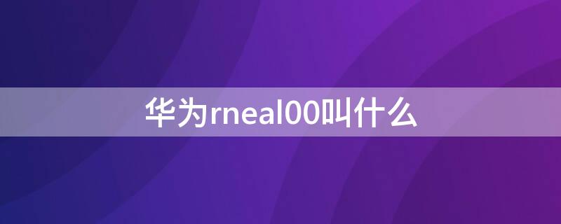 华为rneal00叫什么 华为RNE_AL00是什么