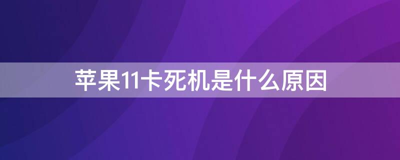 iPhone11卡死机是什么原因 iphone11老是卡死机