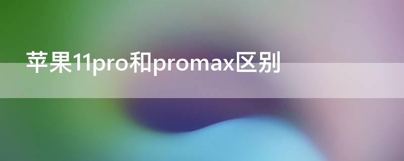 iPhone11pro和promax区别（iphone11pro和promax区别双卡）