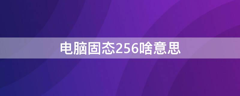 电脑固态256啥意思 256G固态啥意思