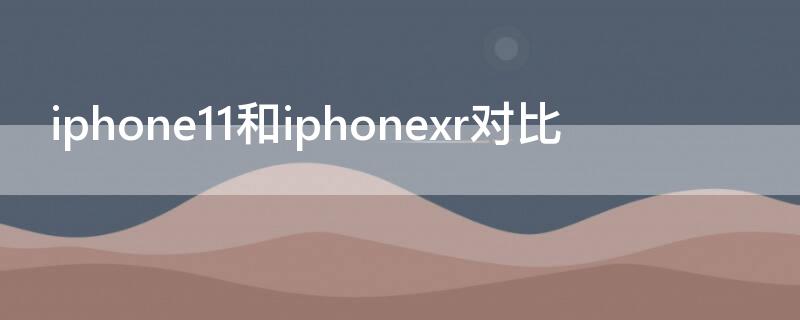 iPhone11和iPhonexr对比（iphone11和iphonexr对比参数）