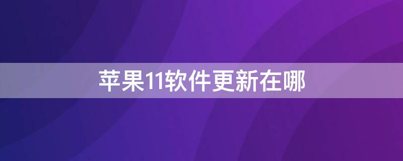 iPhone11软件更新在哪（苹果11手机软件更新在哪里）