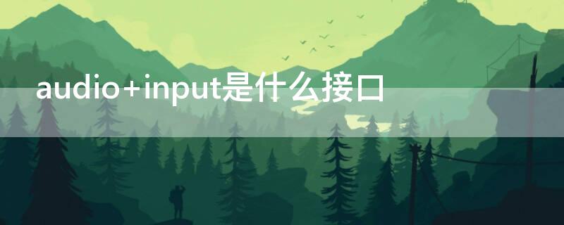 audio input是什么接口